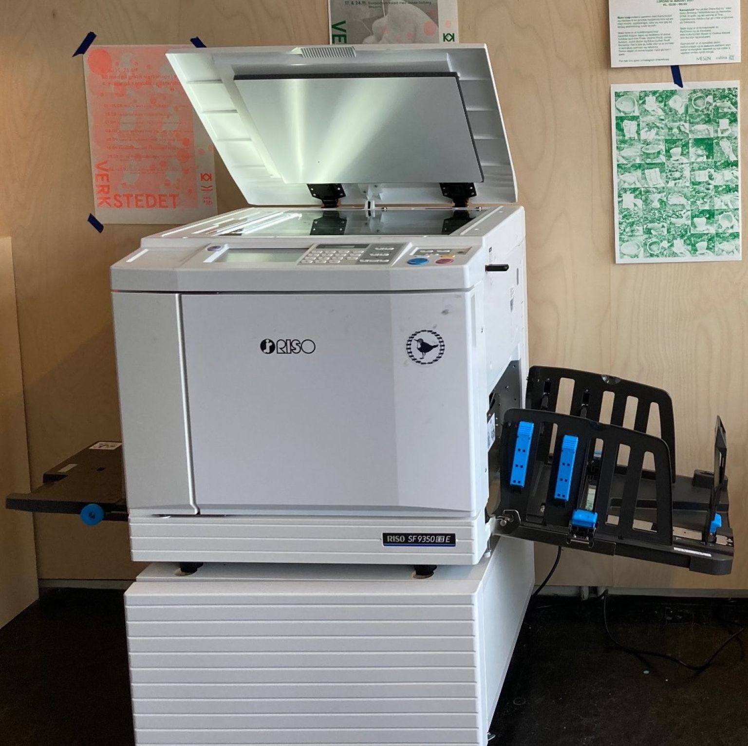 481777907 8723461814421636 7320690372113518133 N