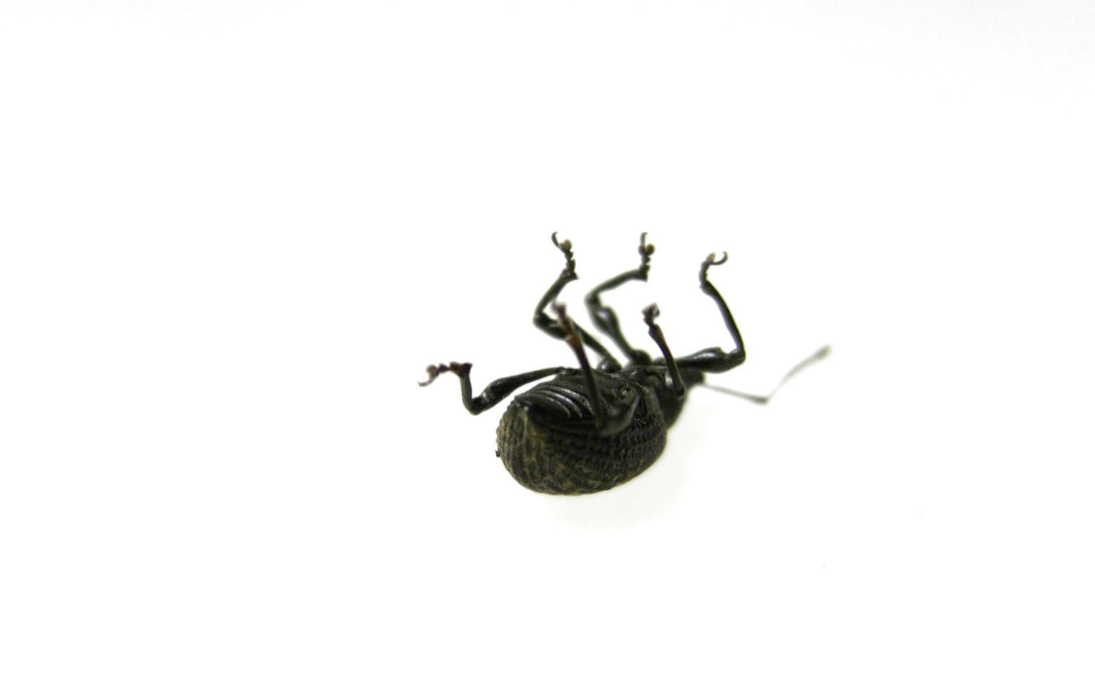 Banner 3