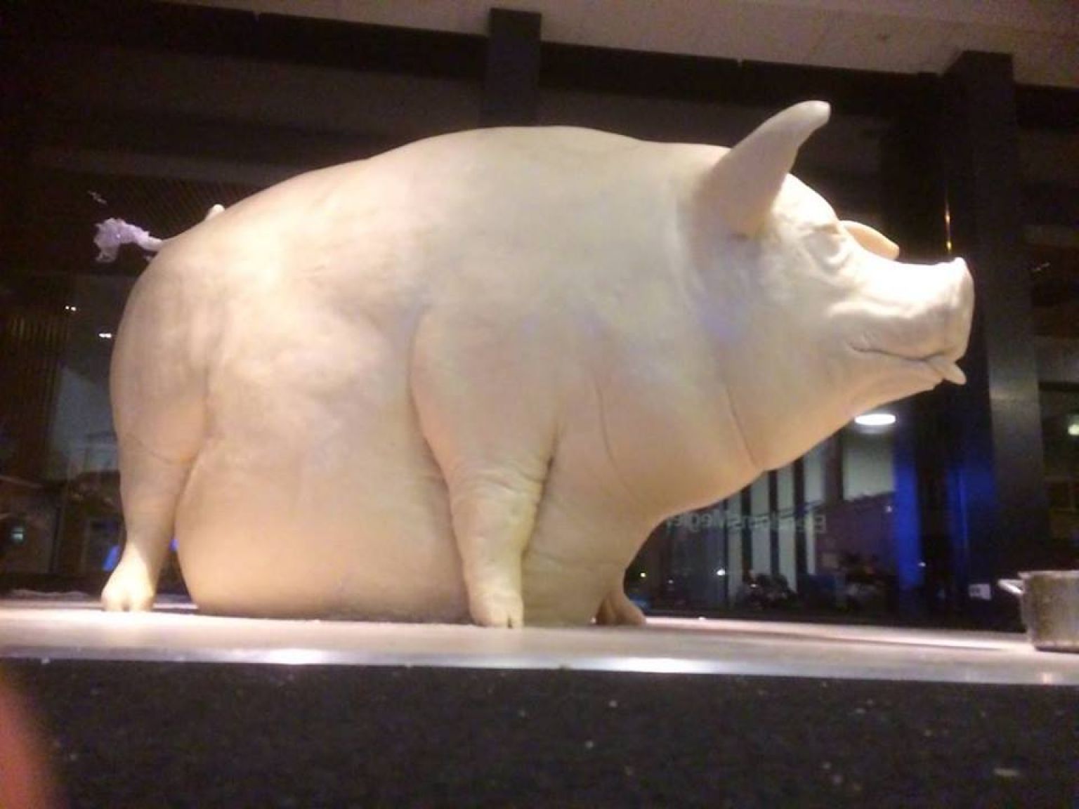 15178934 10154367045787182 5186333135396299636 N